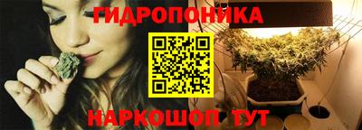 дмт Гусев