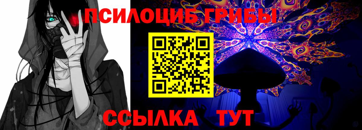Луга  Галлюциногенные грибы ЛСД  Псилоцибиновые грибы Psilocybe  Вход с VPN 